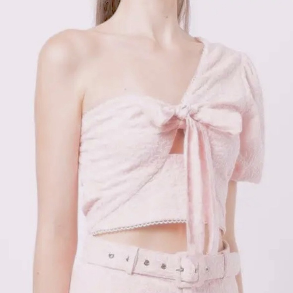 NWT Sz 12 WE ARE KINDRED (Australia) Isla One Shoulder Crop Top in Blush